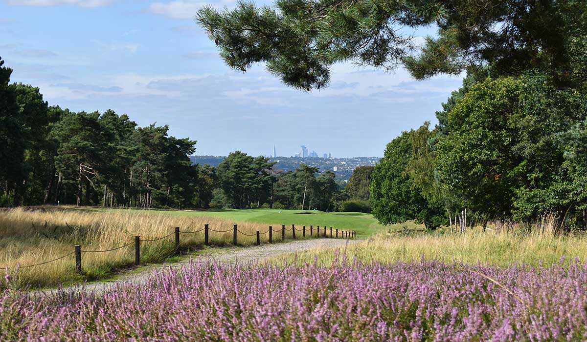 Charity Golf Days At The Addington Golf Club 14th Tee Charity Golf Days At The Addington Golf Club 14th Tee